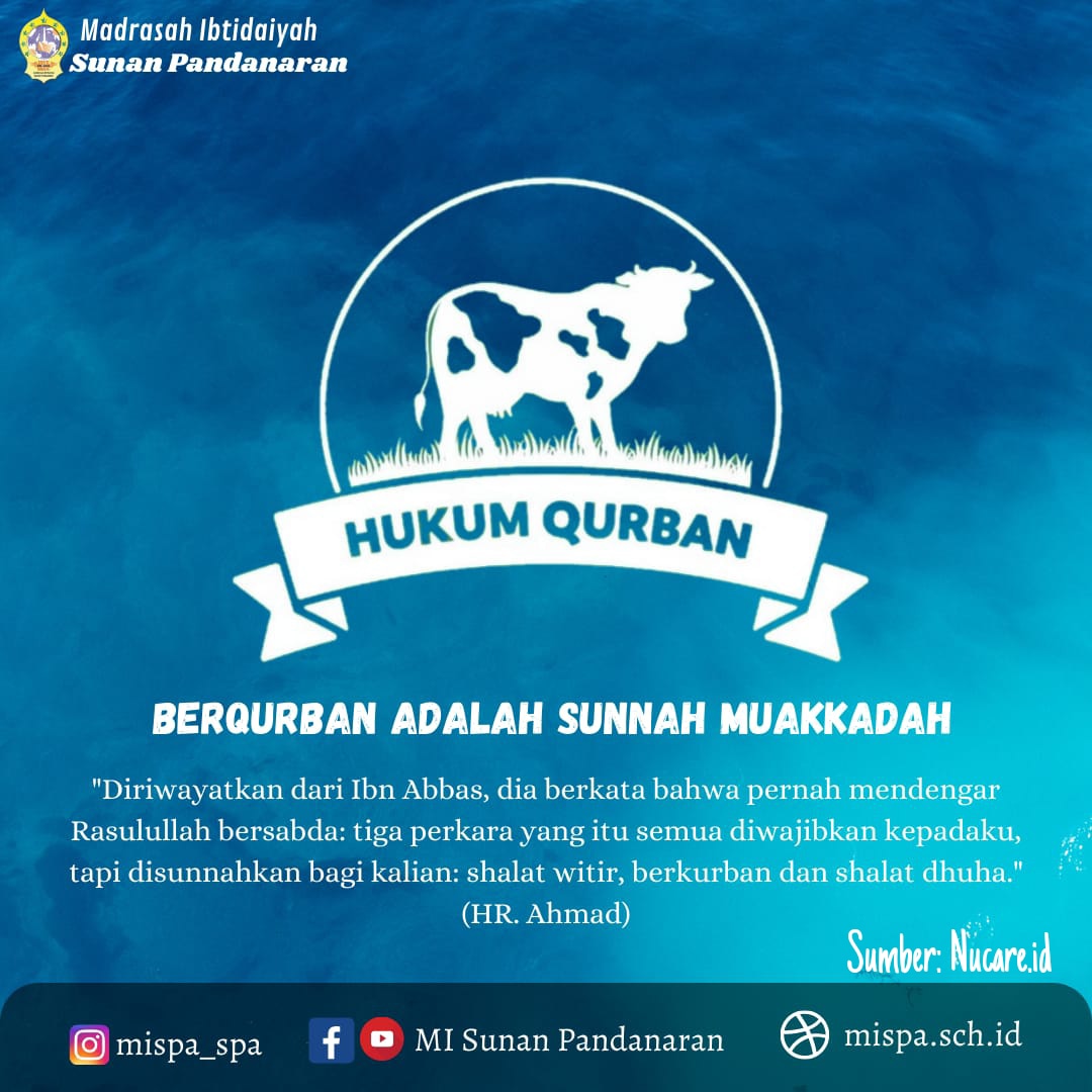 Hukum qurban